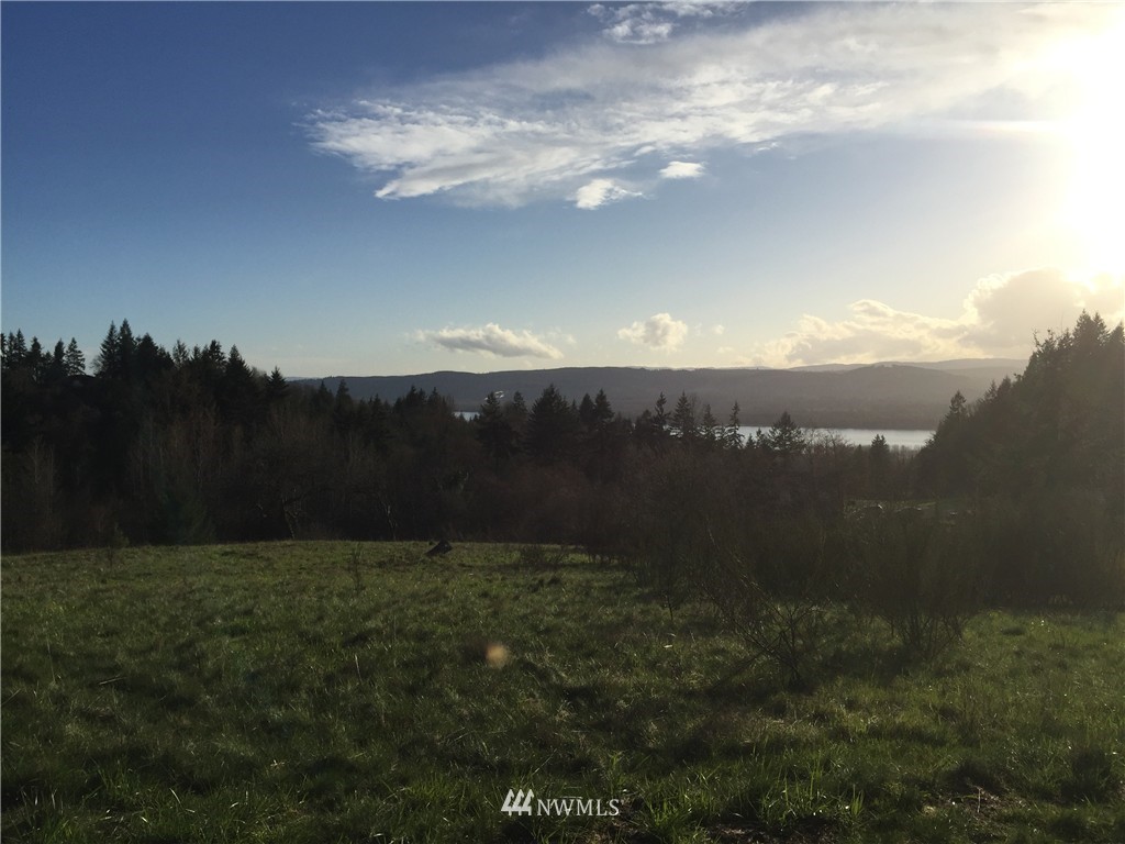 0 Large Road Kalama, WA 98625 - Photo 1 of 13 Gallery Image 1