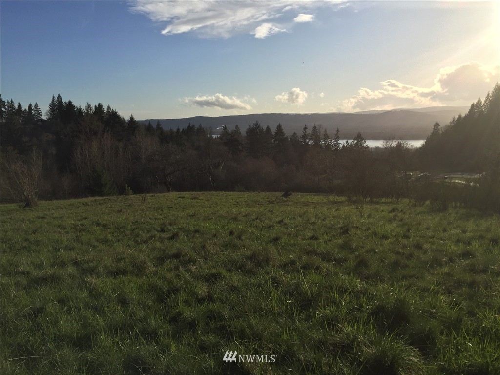 0 Large Road Kalama, WA 98625 - Photo 3 of 13 Gallery Image 3