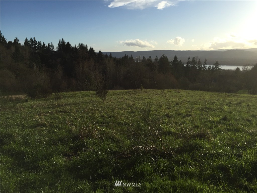 0 Large Road Kalama, WA 98625 - Photo 4 of 13 Gallery Image 4