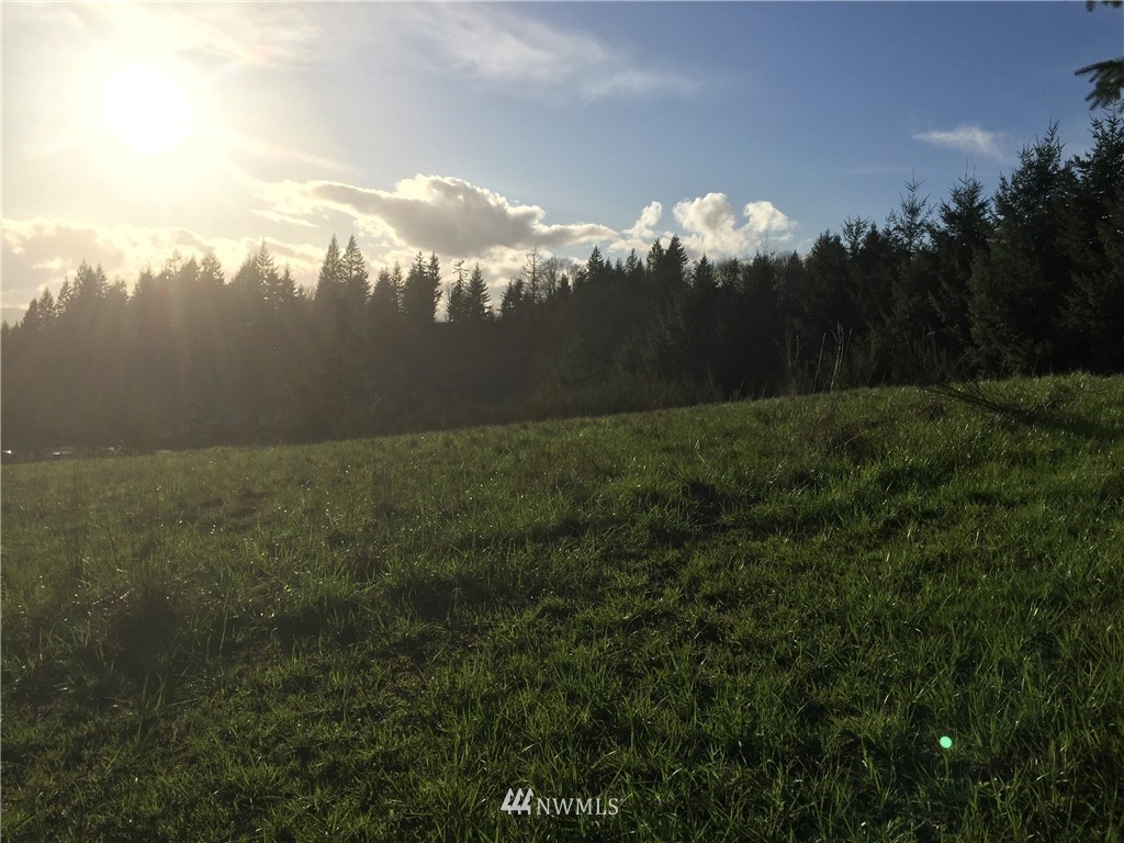 0 Large Road Kalama, WA 98625 - Photo 5 of 13 Gallery Image 5