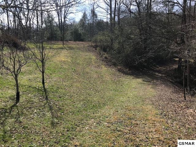 11 Reed Ridge Road Gatlinburg, TN 37738 - Photo 4 of 12