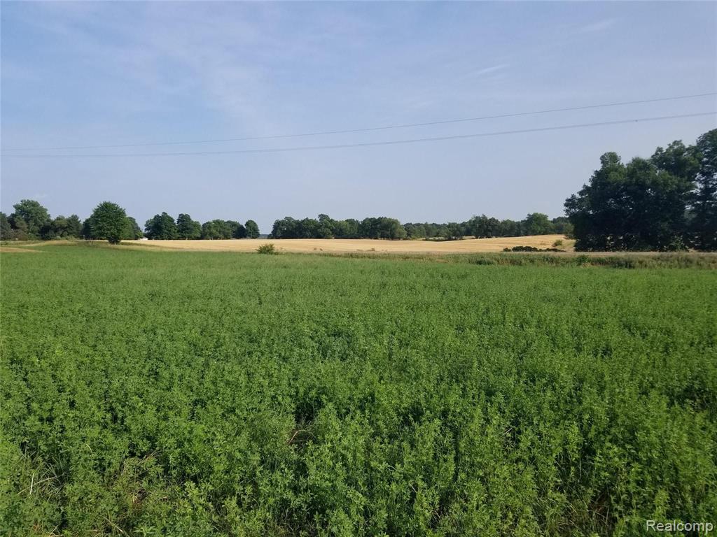 Oooo Oooo Topping Rd/m36 Stockbridge, MI 49285 - Photo 3 of 3