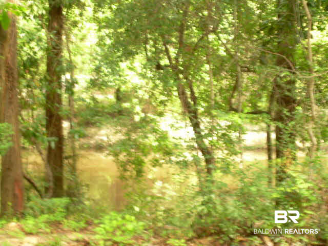 0 South East River Road Silverhill, AL 36576 - Photo 5 of 6