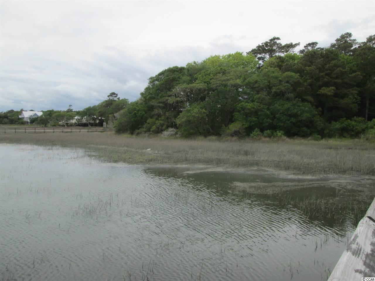 Lot 1 Elizabeth Drive Murrells Inlet, SC 29576 - Photo 2 of 7 Gallery Image 2