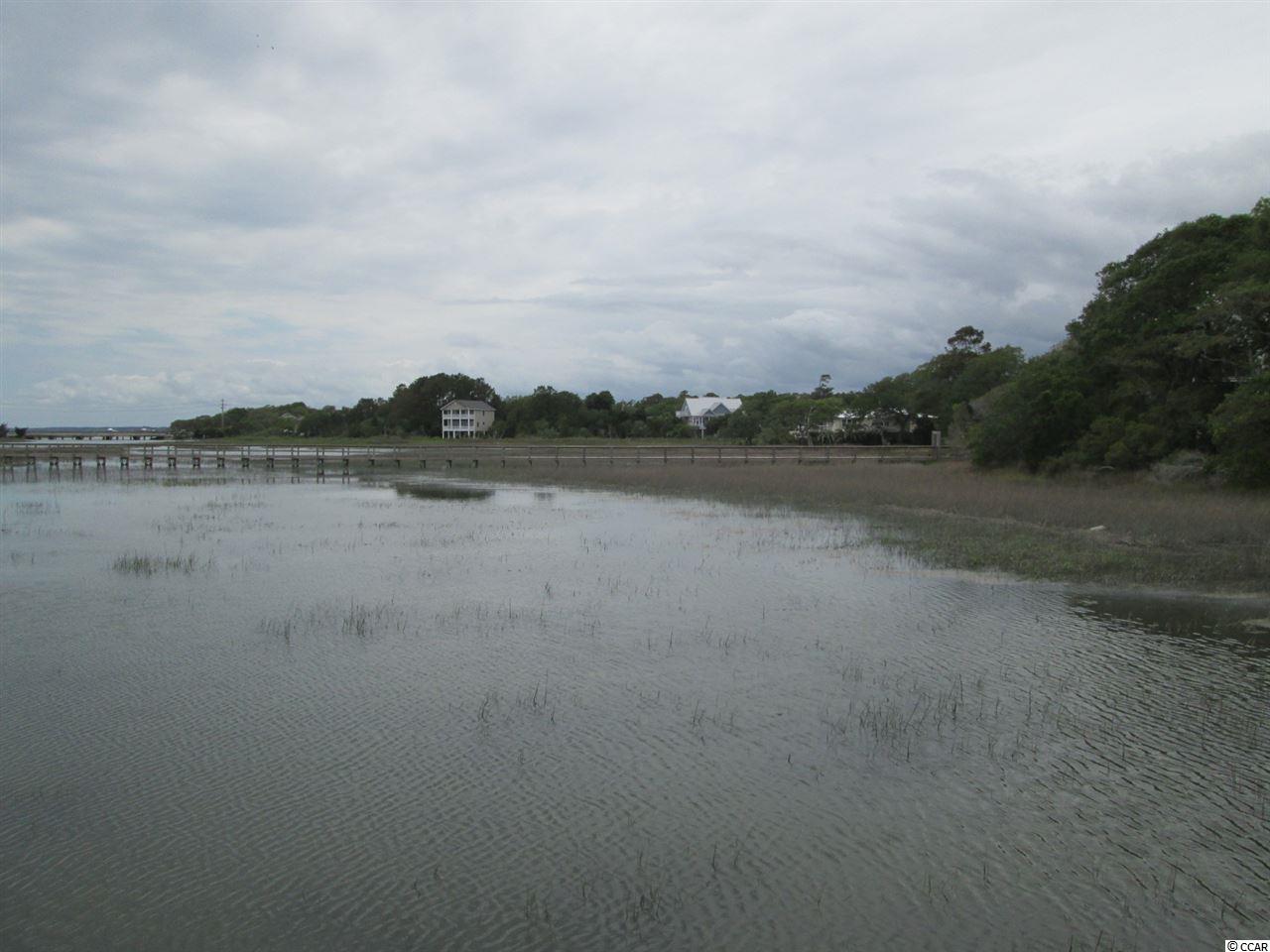 Lot 1 Elizabeth Drive Murrells Inlet, SC 29576 - Photo 3 of 7 Gallery Image 3