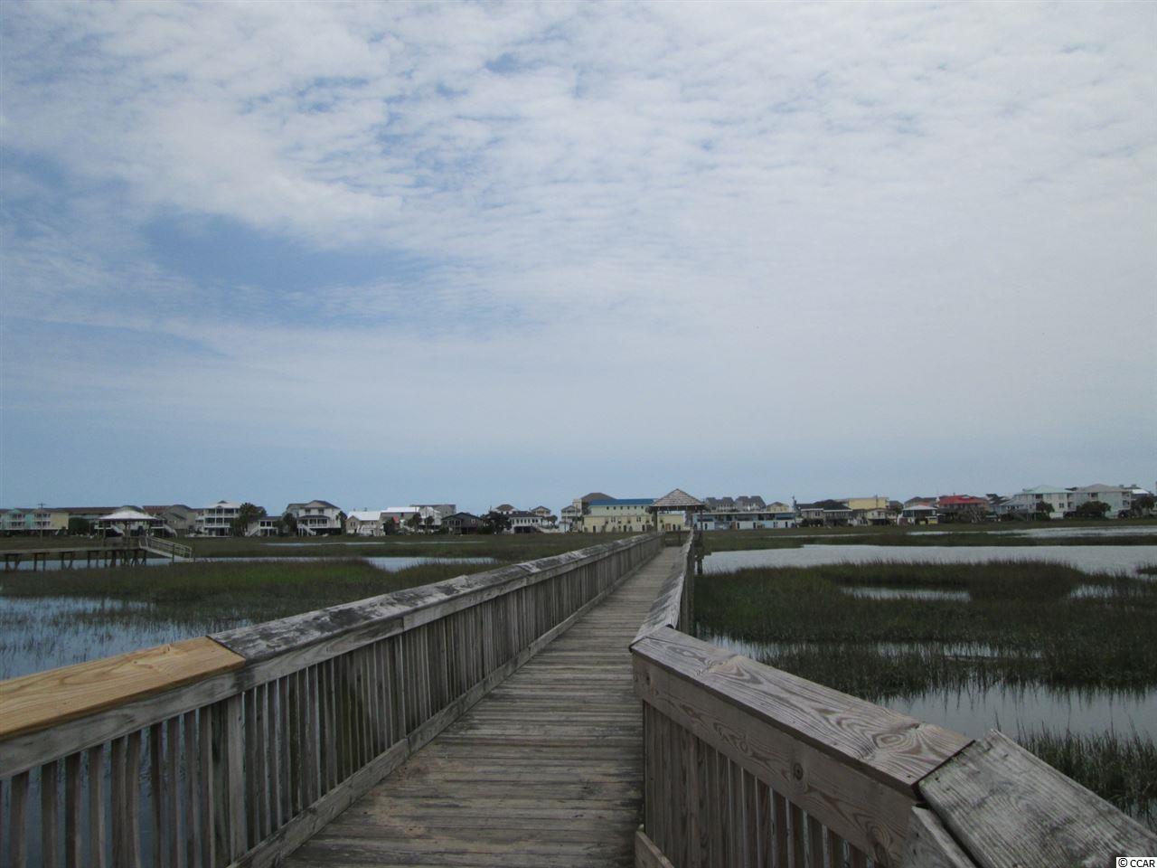 Lot 1 Elizabeth Drive Murrells Inlet, SC 29576 - Photo 4 of 7 Gallery Image 4