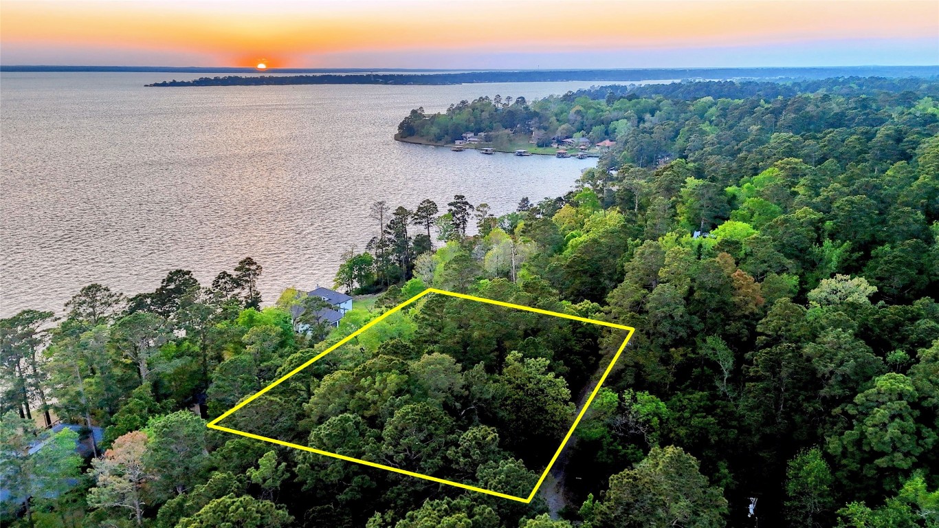 252 Forest Ridge Drive Livingston, TX 77351 - Photo 1 of 13 a view of a lake from a balcony