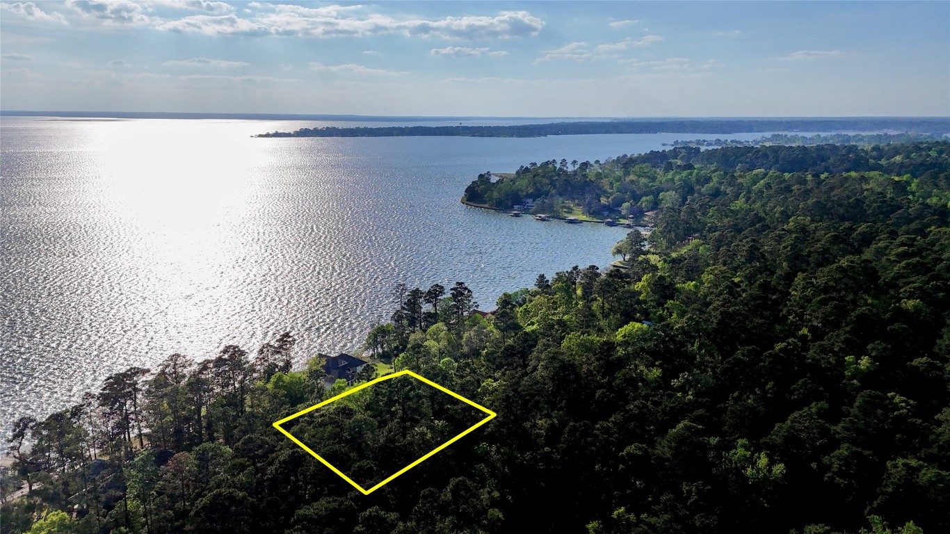 252 Forest Ridge Drive Livingston, TX 77351 - Photo 13 of 13 a view of a lake in middle of forest