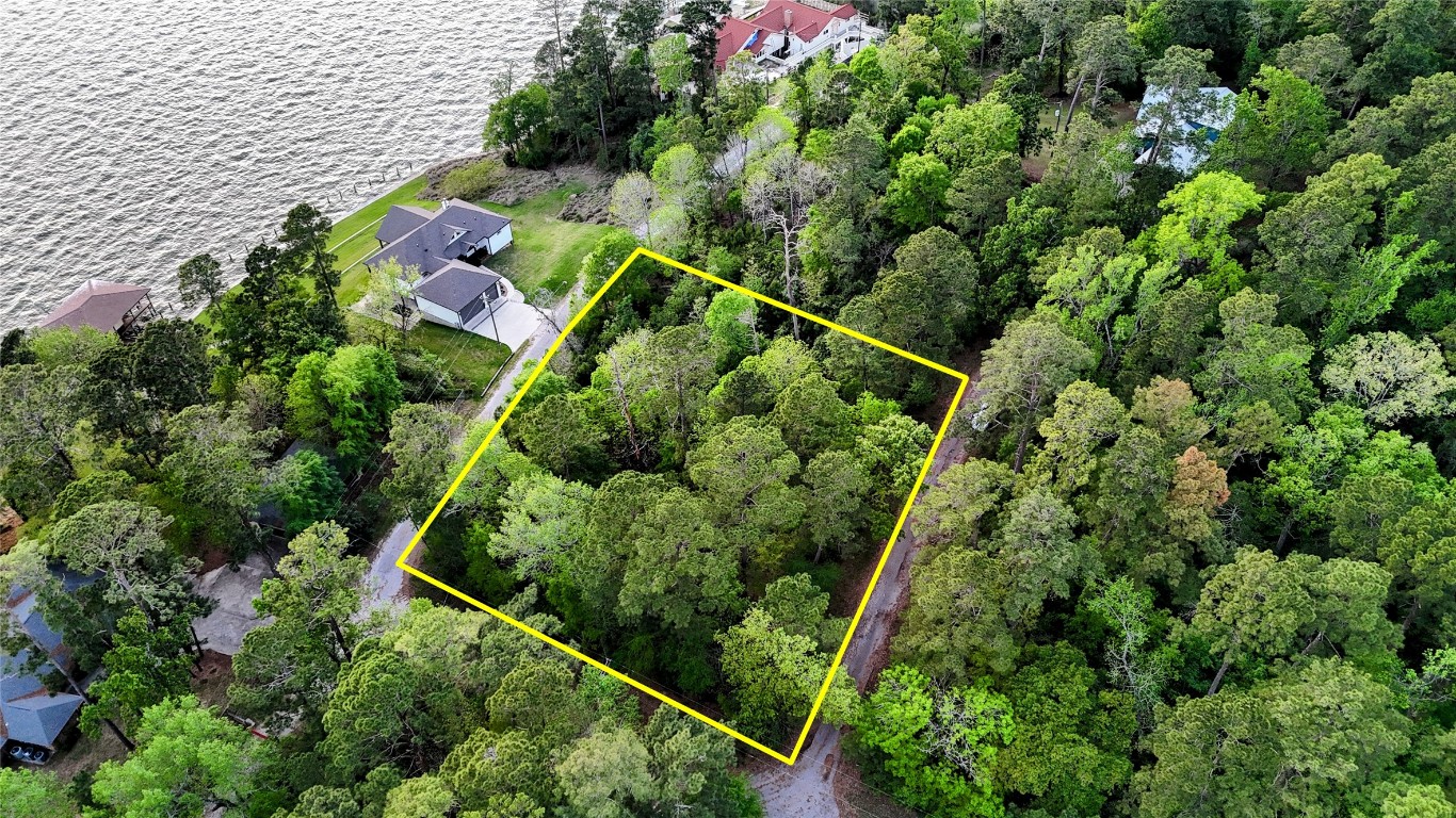 252 Forest Ridge Drive Livingston, TX 77351 - Photo 3 of 13 a aerial view of a house with a tree