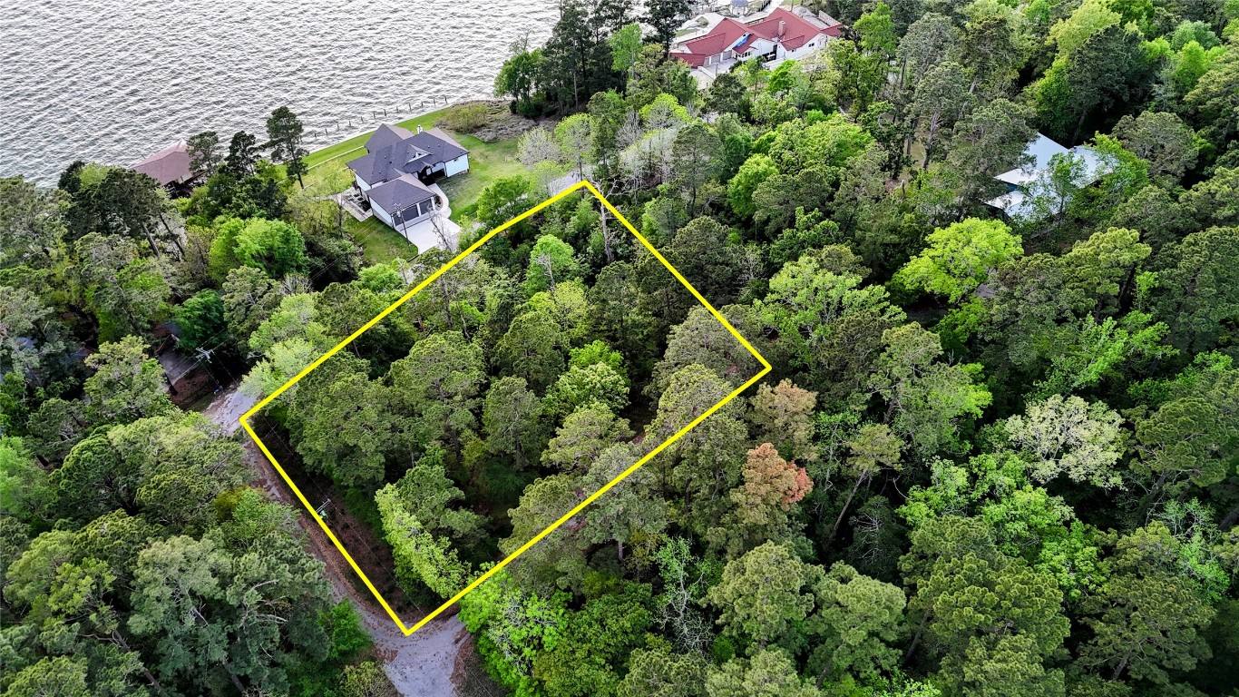 252 Forest Ridge Drive Livingston, TX 77351 - Photo 4 of 13 an aerial view of a forest with houses