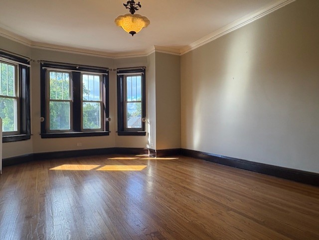 500 Beloit Avenue, Unit A2 Forest Park, IL 60130 - Photo 2 of 10