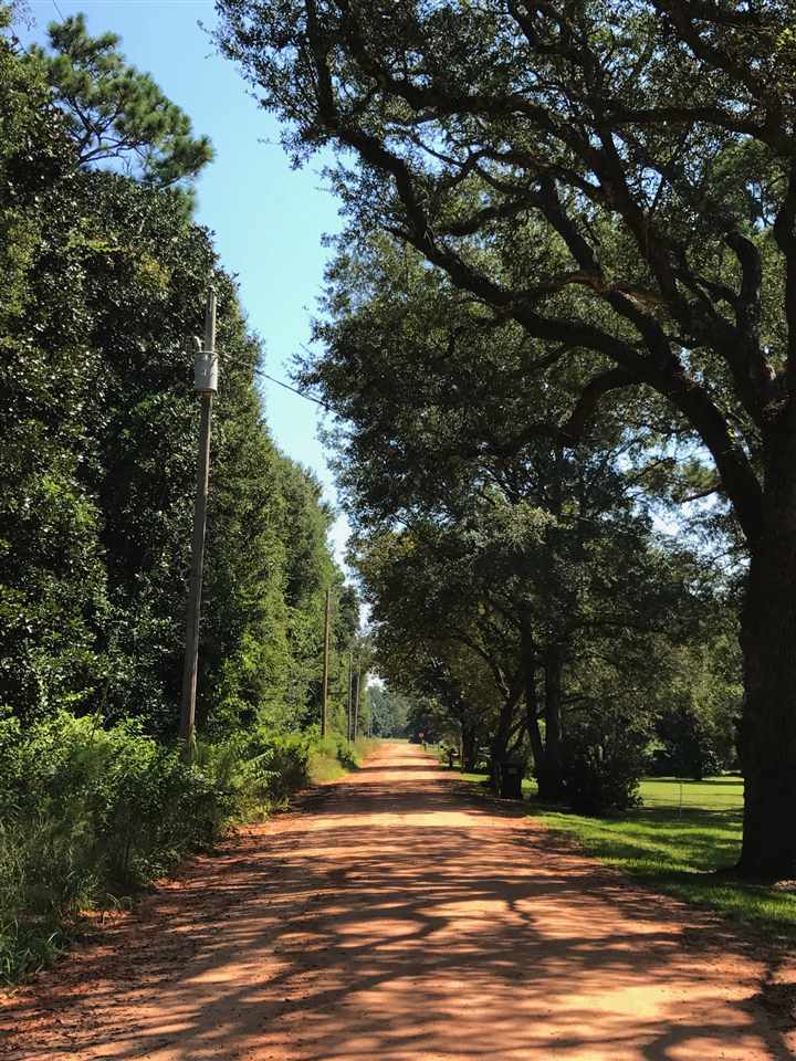 14814 Keith Lane Foley, AL 36535 - Photo 22 of 22