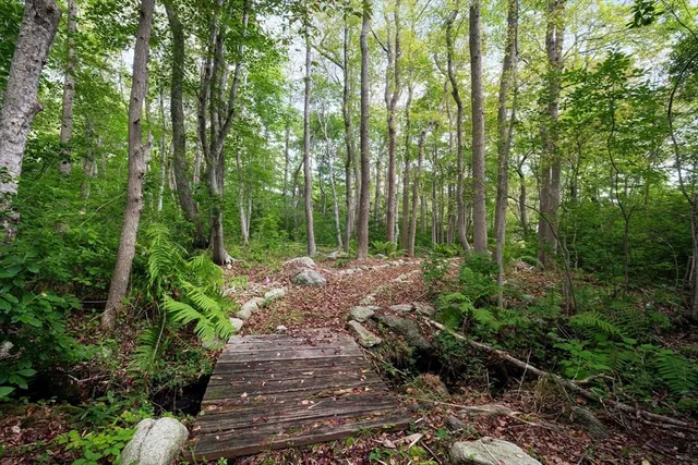 a view of a garden with plants