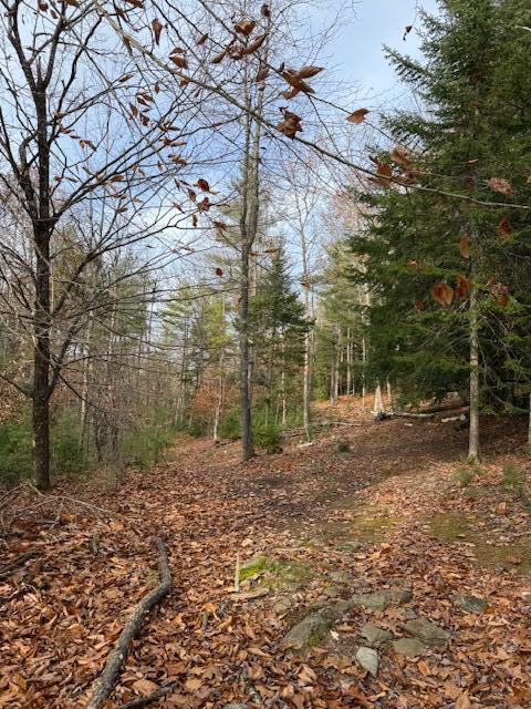 5b Maranacook Road Winthrop, ME 04364 - Photo 7 of 7 IMG_8409