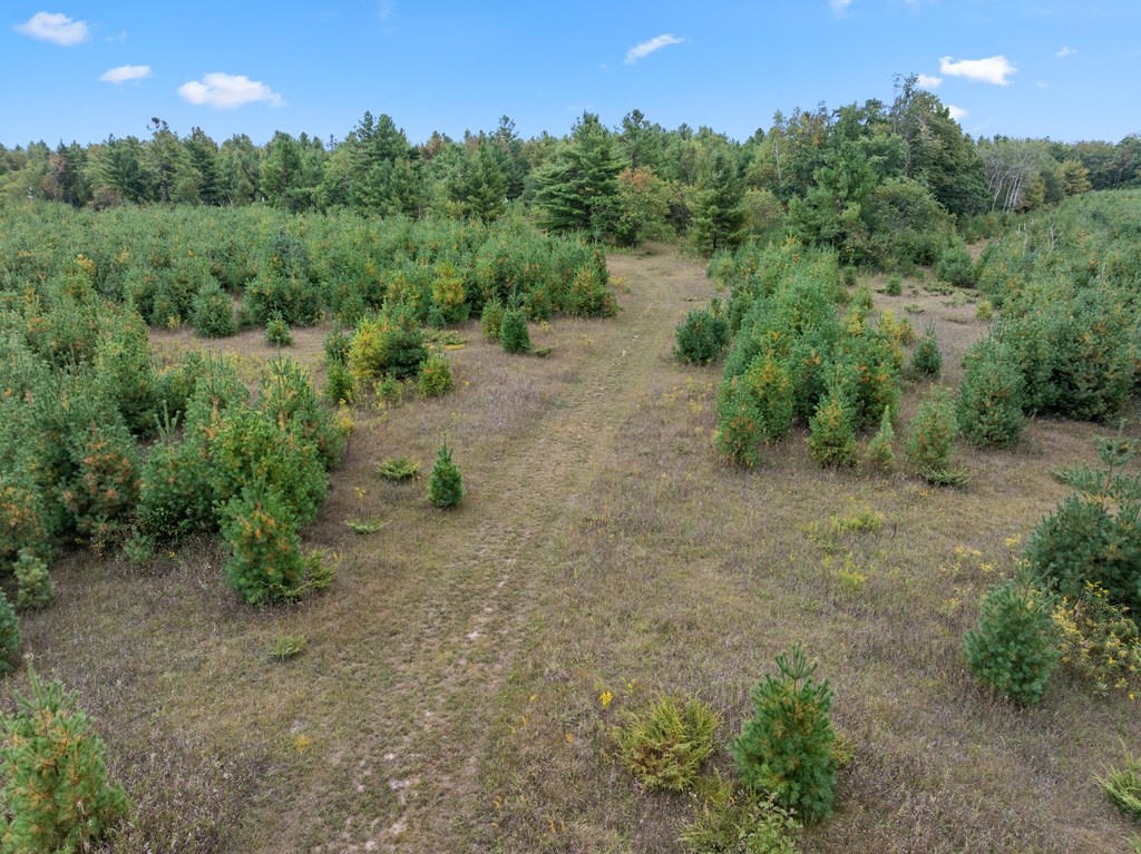 12462 Timberline Road Ellison Bay, WI 54210 - Photo 59 of 66