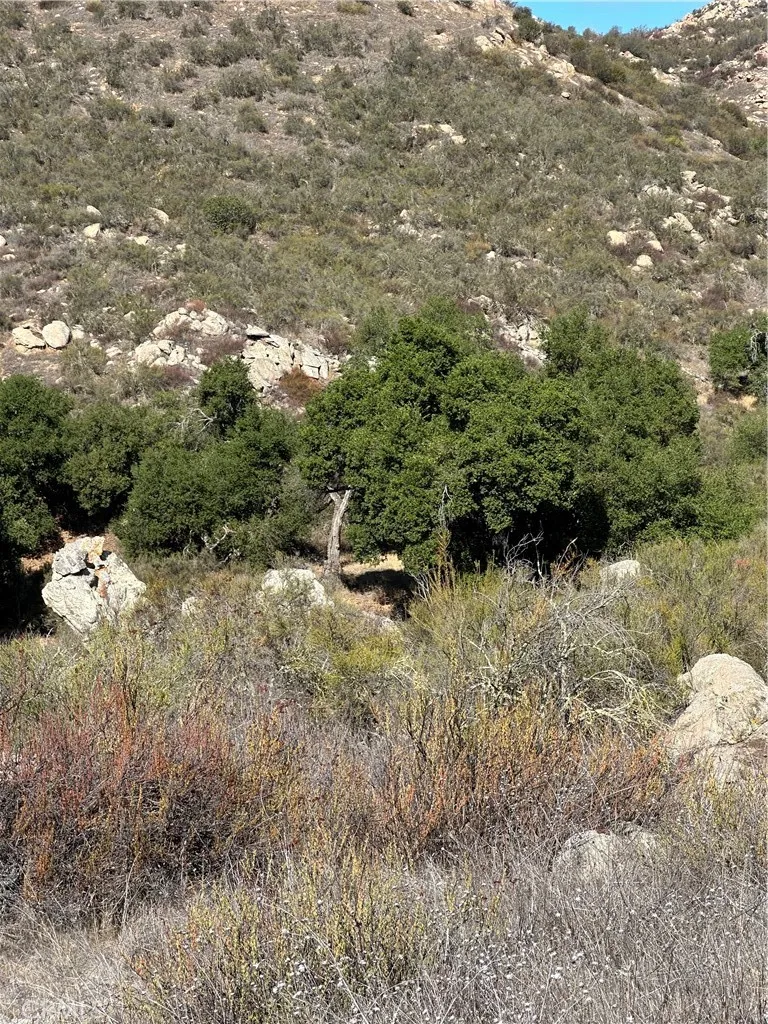 0 Remuda Wildomar, CA 92595 - Photo 11 of 35 a view of a forest with a tree