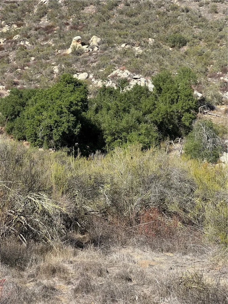 0 Remuda Wildomar, CA 92595 - Photo 21 of 35 View of oaks on parcel.