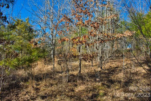 a view of a yard with a tree