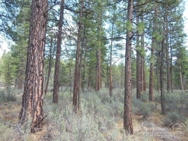 17785 Wilt Road Sisters, OR 97759 - Photo 13 of 25 a view of a forest
