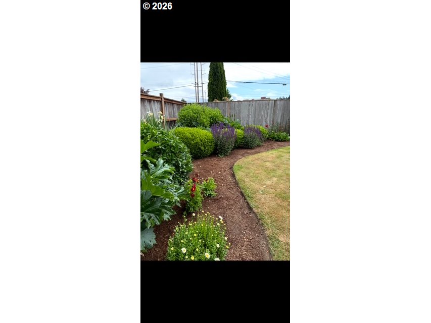450 Cardinal Way Springfield, OR 97477 - Photo 11 of 15