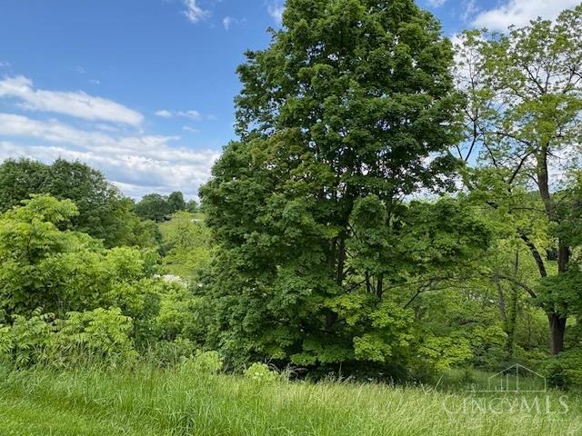 5778 Blue Rock Hill Road Cincinnati, OH 45247 - Photo 7 of 11