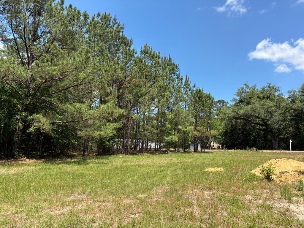 612 Edwin Reynolds Road Cottonwood, AL 36320 - Photo 1 of 15
