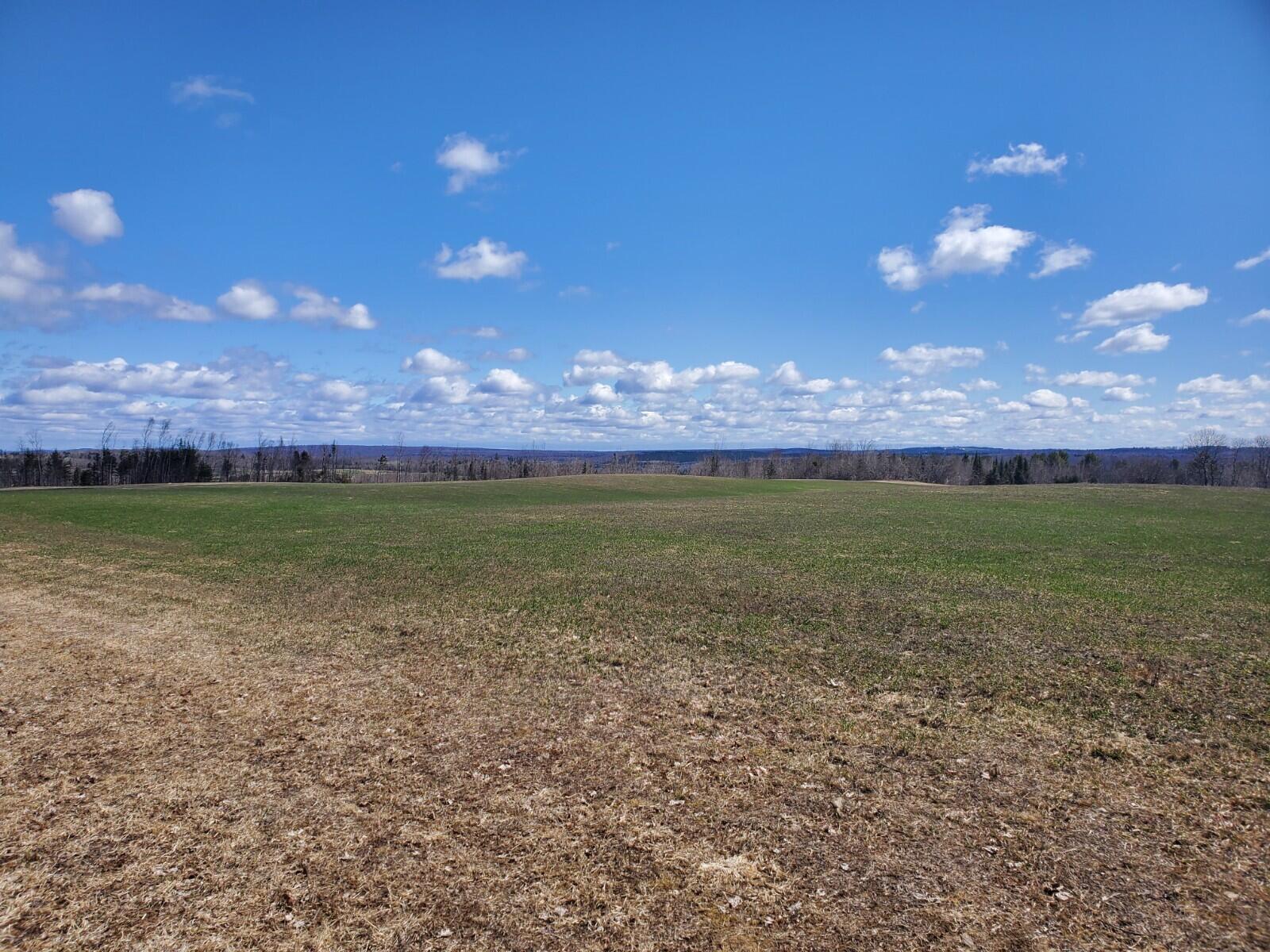0 Townline Road Merrill, ME 04780 - Photo 8 of 13 20220506_100618