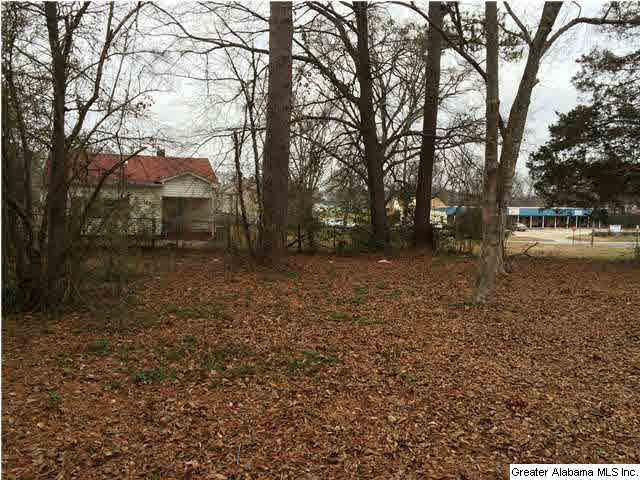 503 5th Street North Oneonta, AL 35121 - Photo 12 of 32