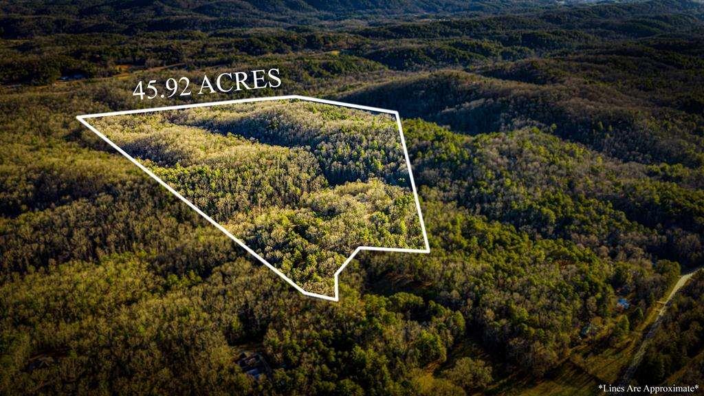 178 Arp Road Mineral Bluff, GA 30559 - Photo 3 of 57