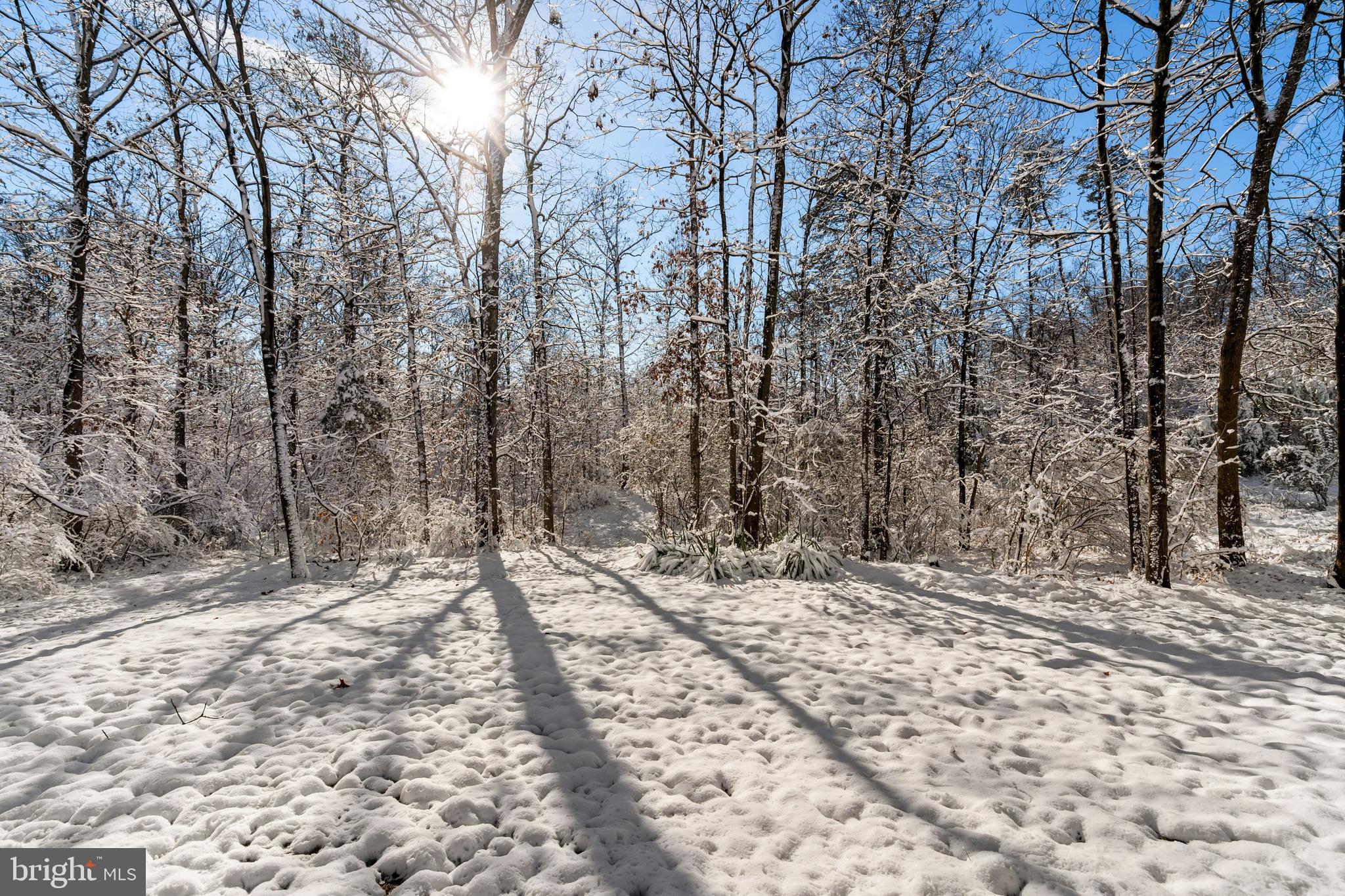 17 Cedar Drive Sterling, VA 20164 - Photo 38 of 49 over 1 acre