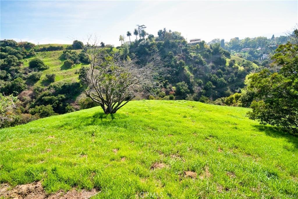a view of green field with lots of trees