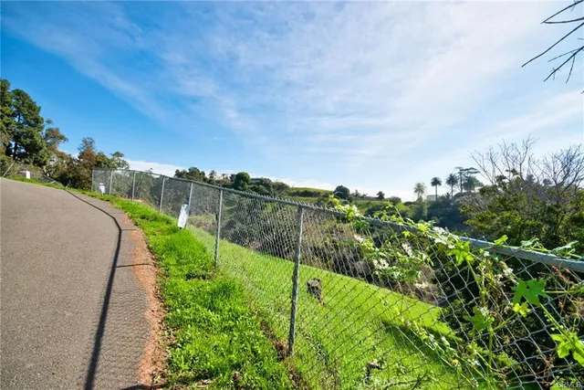 a view of a pathway both side of grassy field with shrub