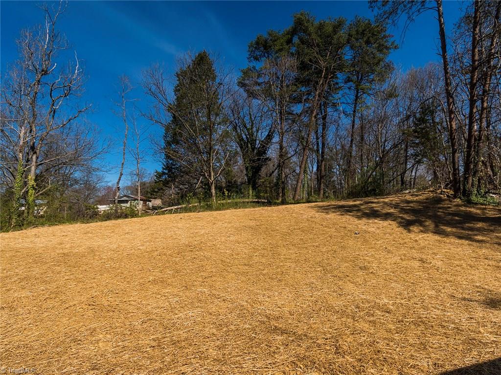 702 Prince Road Greensboro, NC 27455 - Photo 21 of 22 Welcome Home to 702 Prince Road!