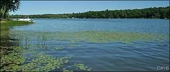 $14,900 | Duck Lake Road, Red Creek, NY 13143