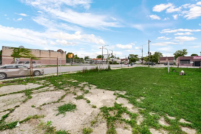 a view of a park with of trees