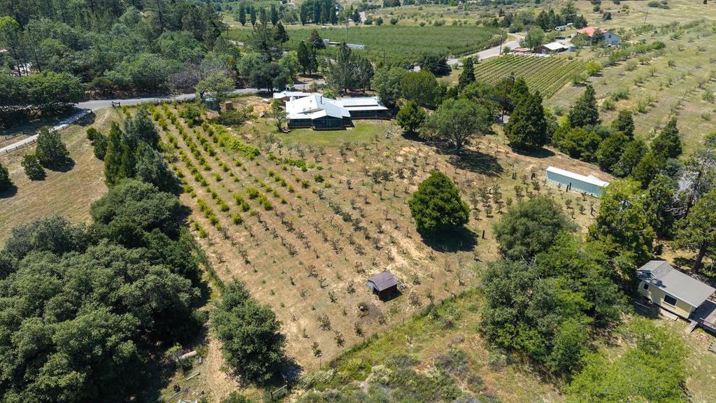 1315 Farmer Road Julian, CA 92036 - Photo 49 of 74