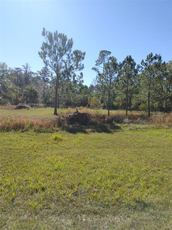 1838 Northeast 145th Avenue Road Silver Springs, FL 34488 - Photo 15 of 21