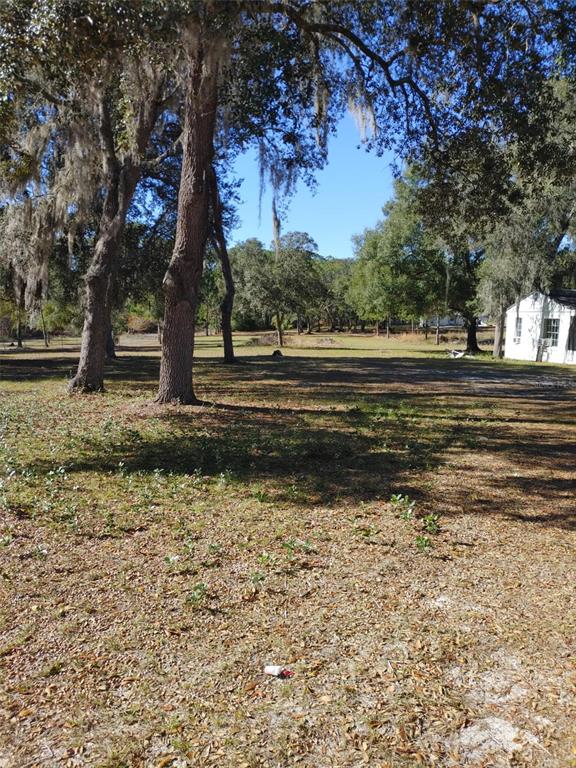 1838 Northeast 145th Avenue Road Silver Springs, FL 34488 - Photo 4 of 21