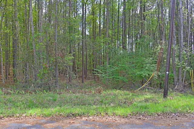$35,000 | 0 Ridgelake(lot 29), St. Matthews, SC 29135
