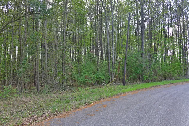 $35,000 | 0 Ridgelake(lot 29), St. Matthews, SC 29135