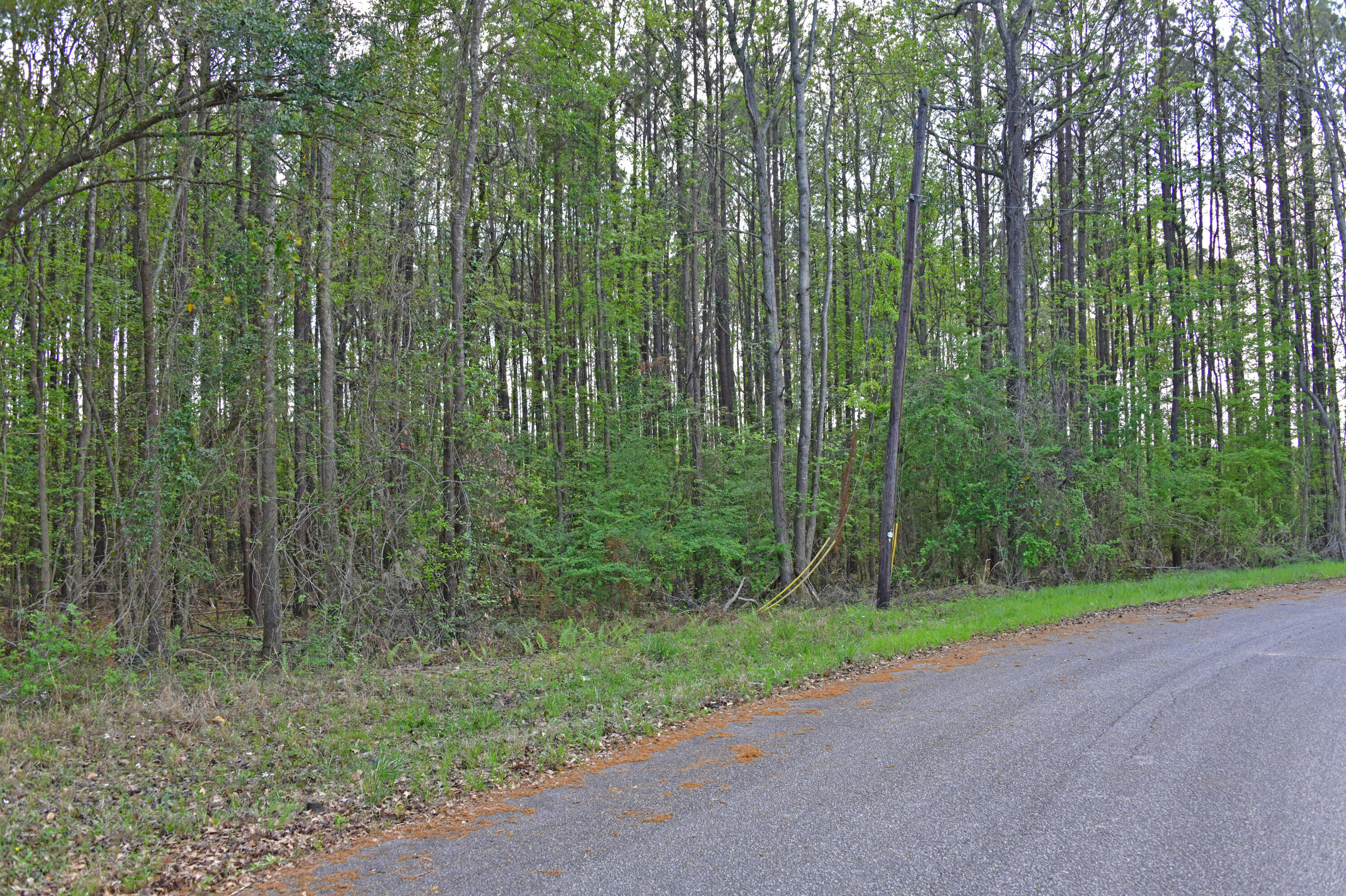 0 Ridgelake(lot 29) St. Matthews, SC 29135 - Photo 2 of 3 Ridgelake Cir lot 29.2