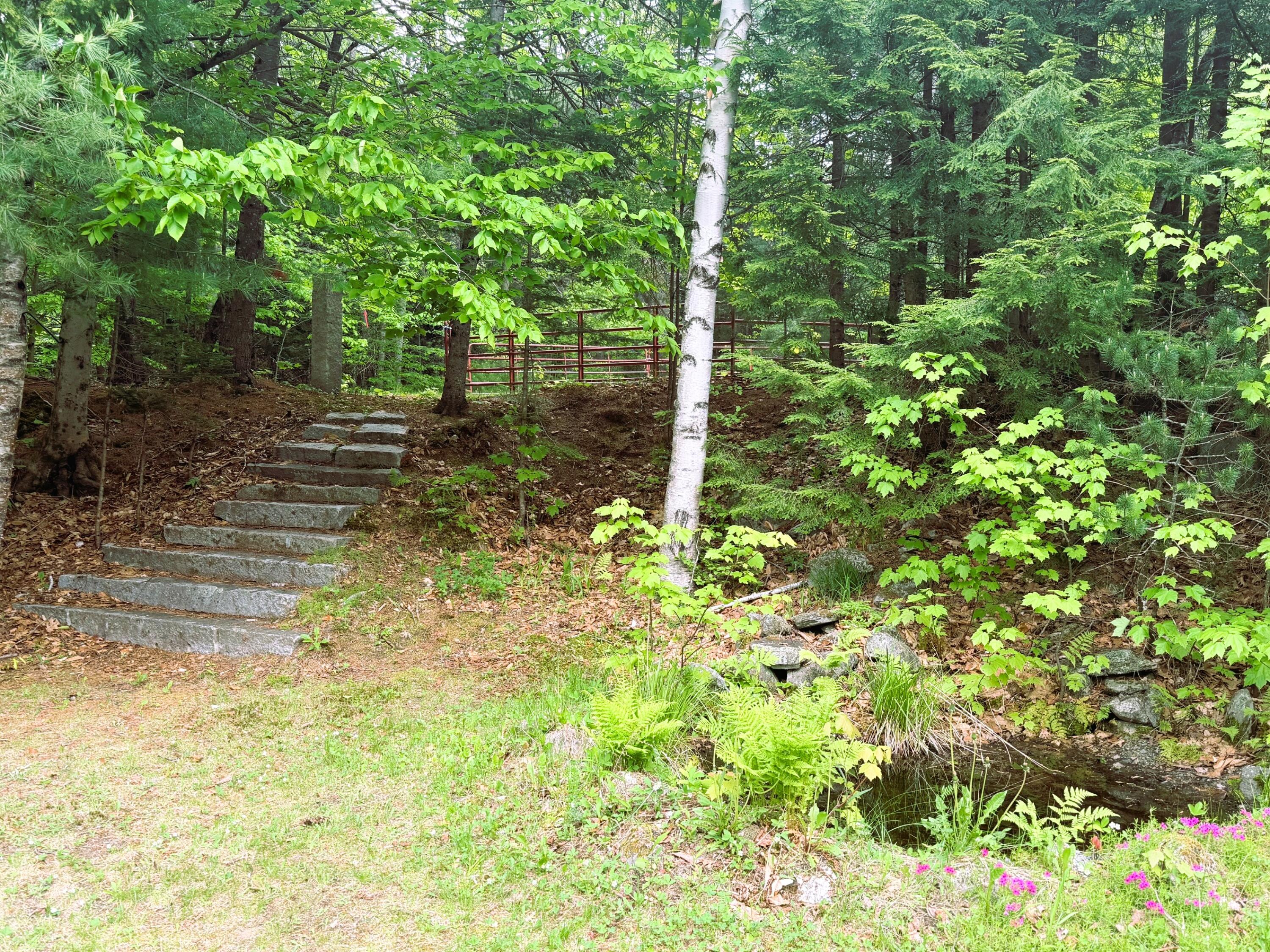 411 East Jay Road Jay, ME 04239 - Photo 44 of 44 Back yard pond and rock stairs