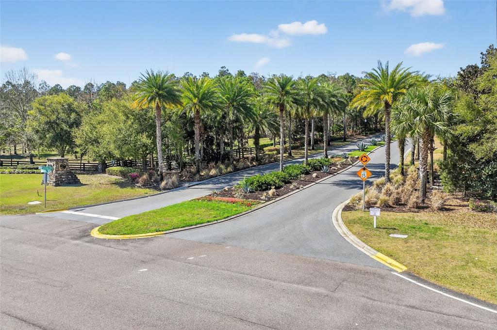 2605 Clemson Ridge Clermont, FL 34715 - Photo 35 of 47