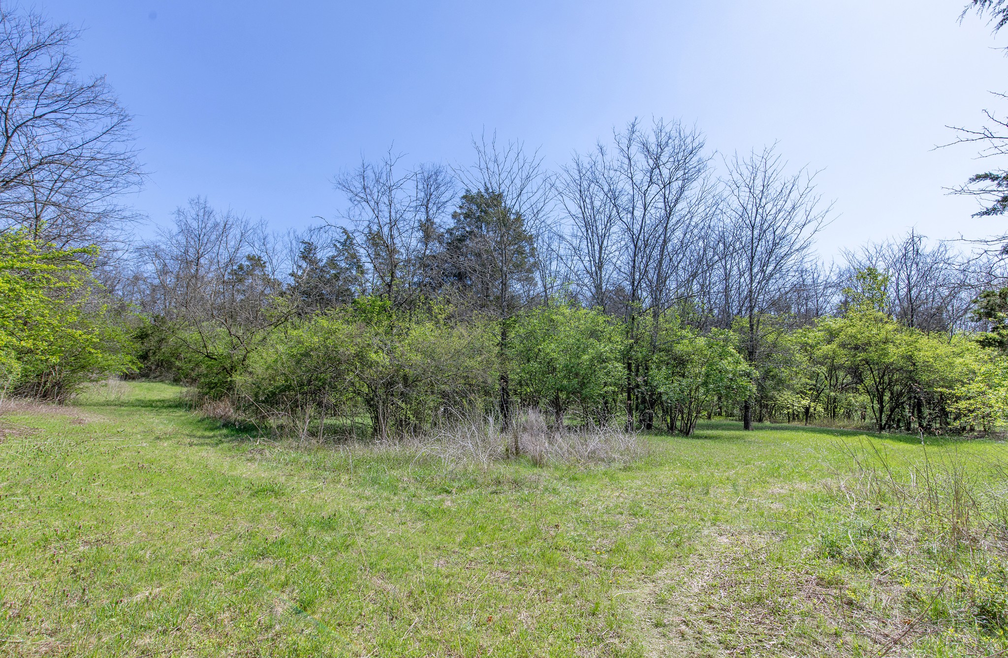227 Spero Road Goodlettsville, TN 37072 - Photo 9 of 52 Gallery Image 9