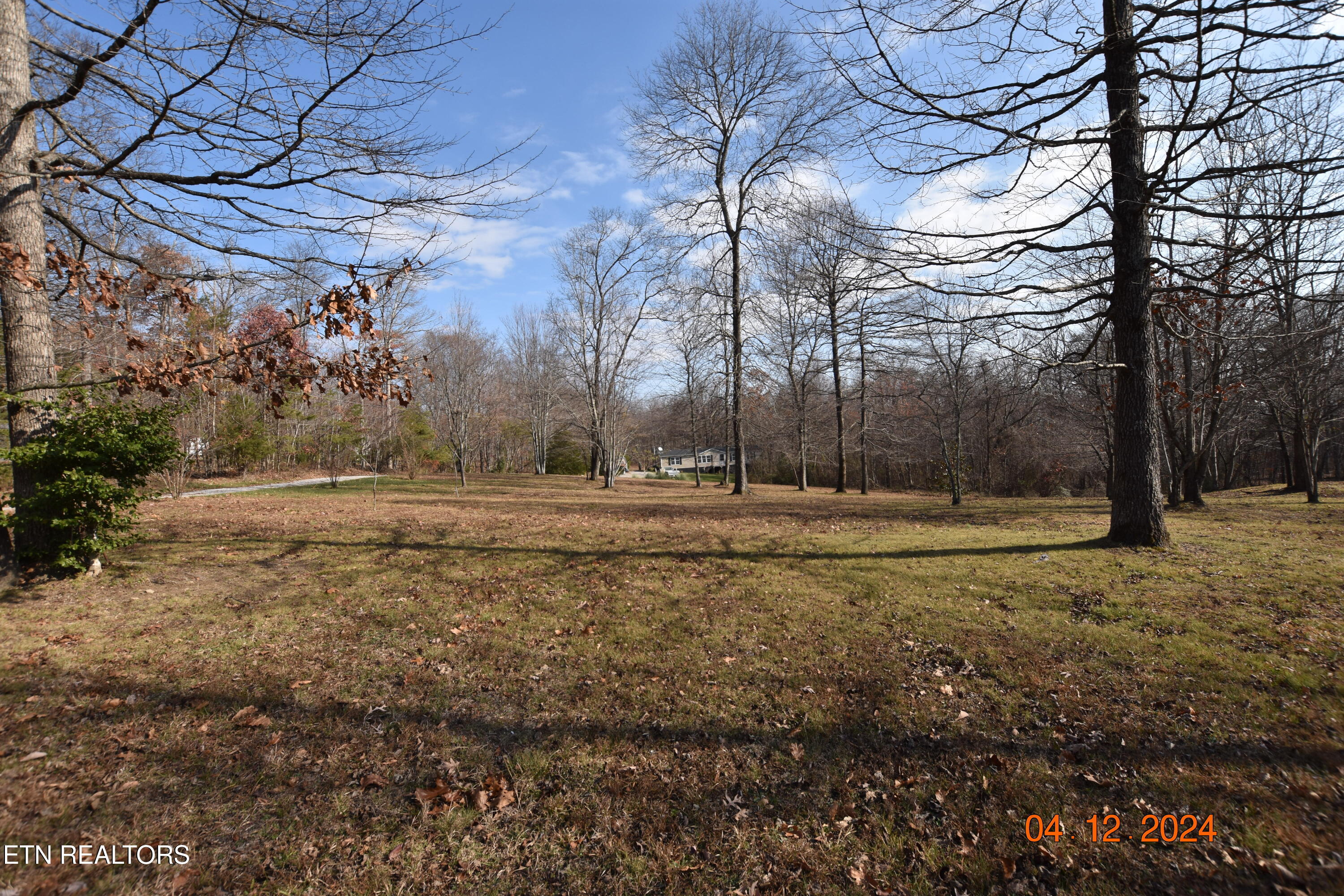 472 Catoosa Ridge Road Rockwood, TN 37854 - Photo 3 of 23 DSC_0749