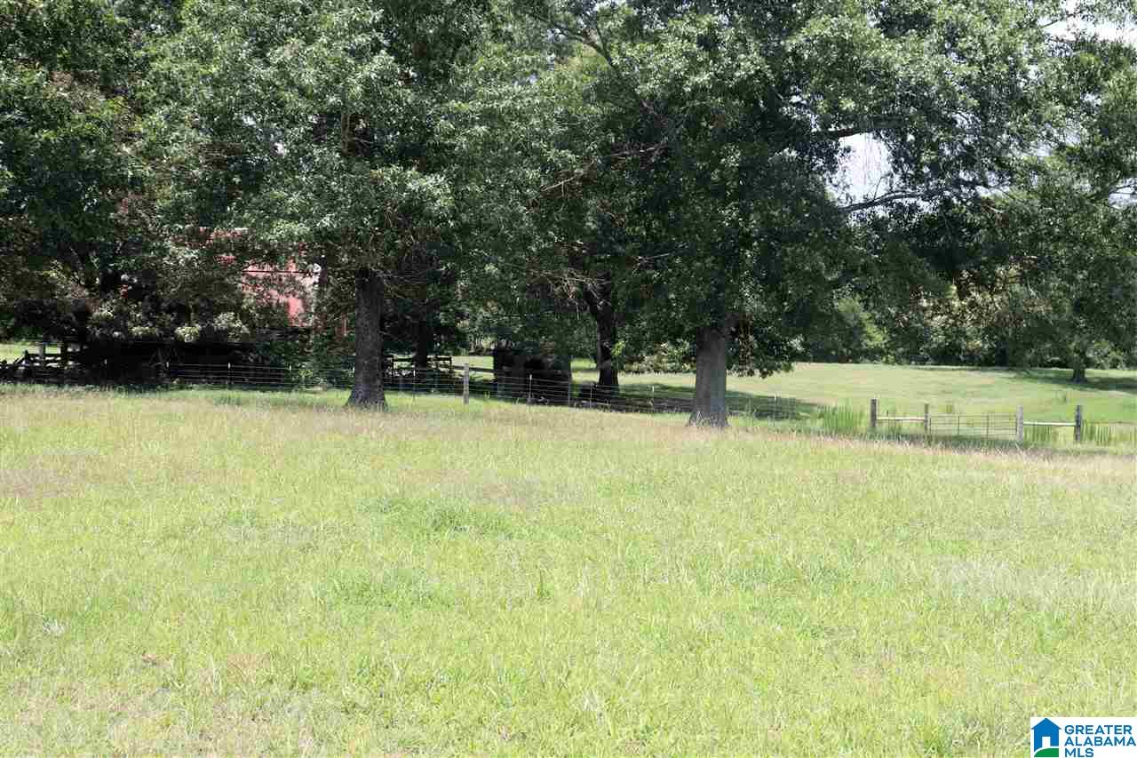755 Back Bone Road Blountsville, AL 35031 - Photo 34 of 39