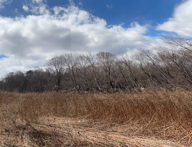 115 McBride Road Litchfield, CT 06759 - Photo 13 of 28 a view of a dry yard with trees