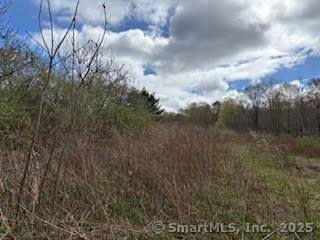 115 McBride Road Litchfield, CT 06759 - Photo 16 of 28 a view of a yard