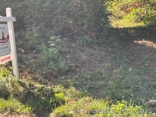 115 McBride Road Litchfield, CT 06759 - Photo 17 of 28 a picture of a tree