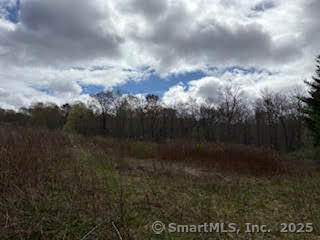 115 McBride Road Litchfield, CT 06759 - Photo 19 of 28 a view of a yard